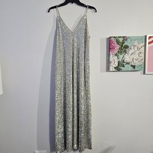 ZARA EUC Mesh Sequin Maxi Dress, size S
